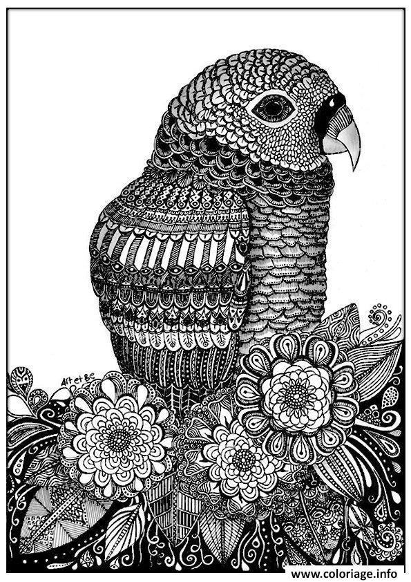 Dessin adulte zentangle oiseau sabrina  Coloriage Gratuit à Imprimer